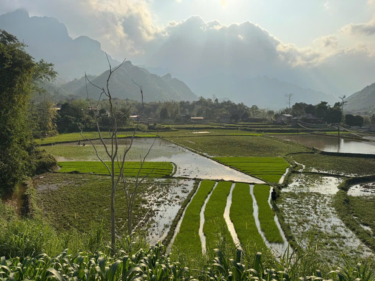 Vietnam North Cycling Tours for Experienced Riders: The Pro Guide